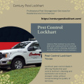 Pest control lockhart texas.jpeg